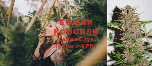 СК Белокуриха
