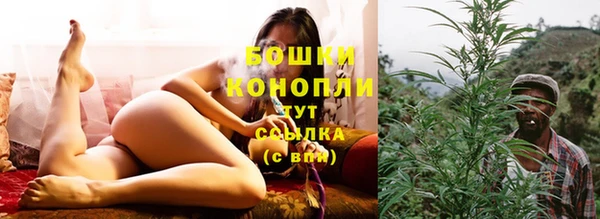 дурь Белоозёрский