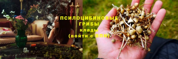 СК Белокуриха